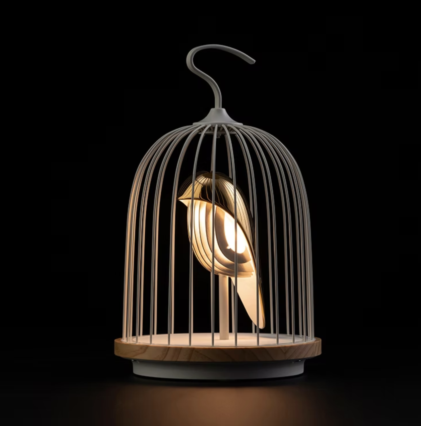 Jingoo Speaker Phoenix - DACQI Concept