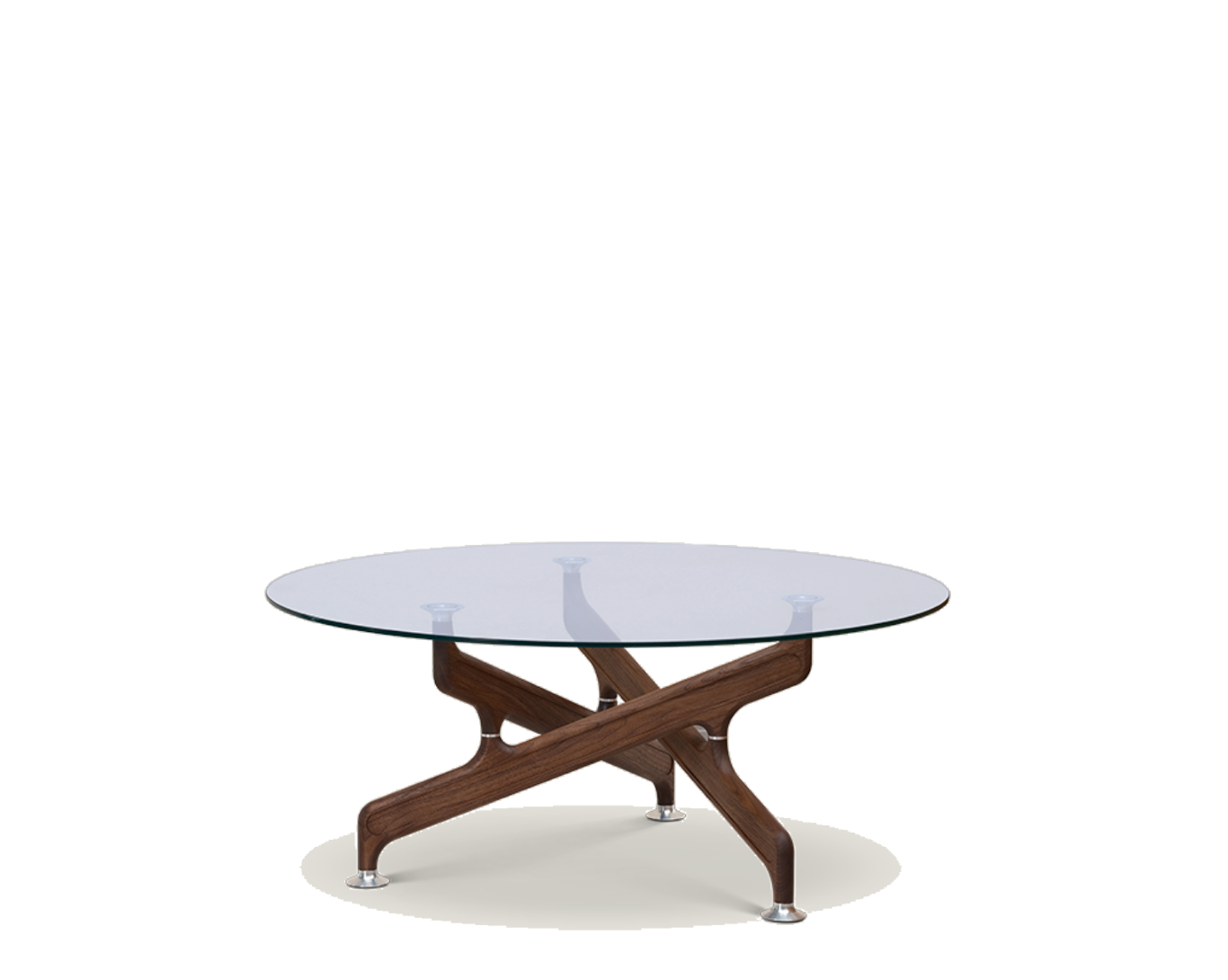 Bone Coffee Table - ONE COLLECTION