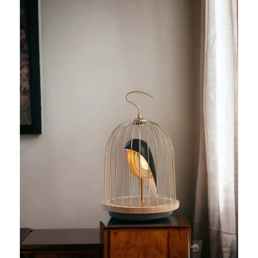 Jingoo Speaker Gold Black - DACQI Concept